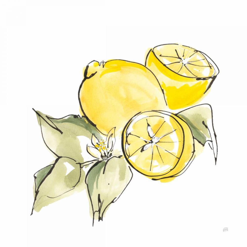 Lemon Still Life I art print by Chris Paschke for $57.95 CAD