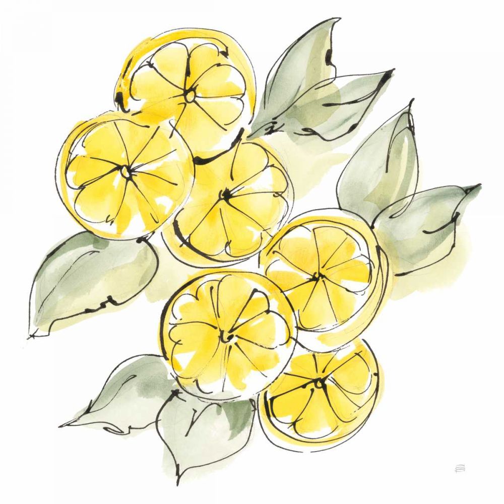 Cut Lemons II art print by Chris Paschke for $57.95 CAD