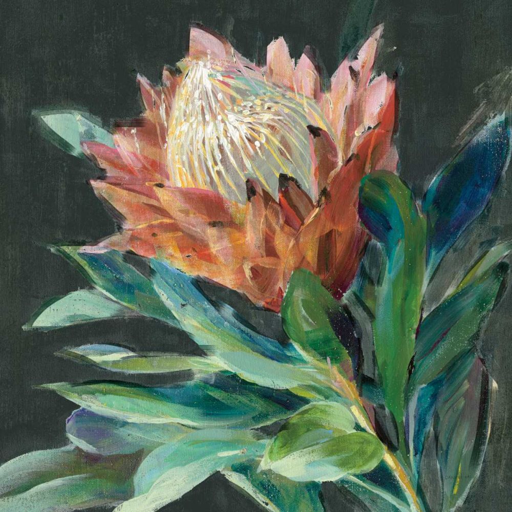 Deep Protea Crop art print by Danhui Nai for $57.95 CAD