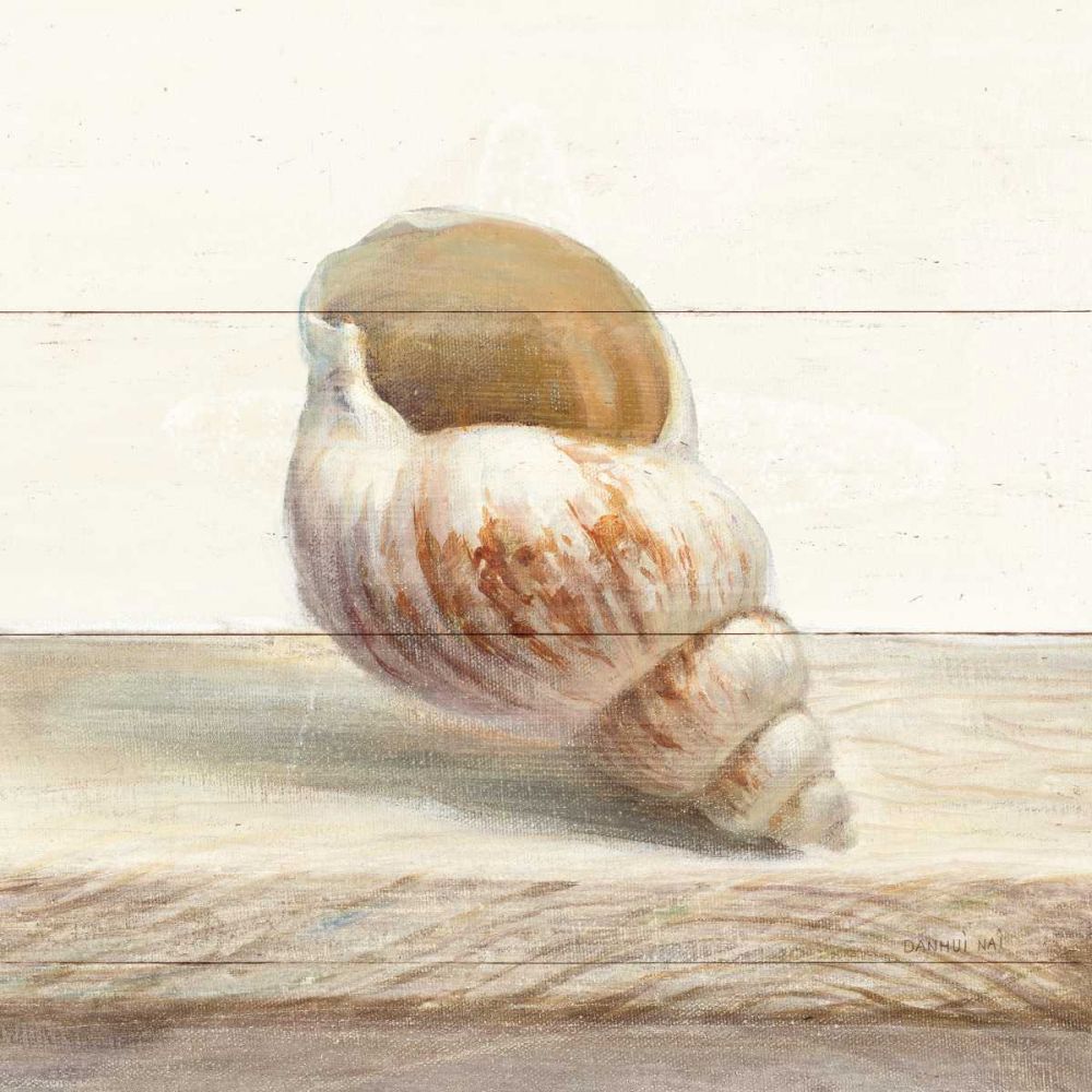 Driftwood Shell I art print by Danhui Nai for $57.95 CAD