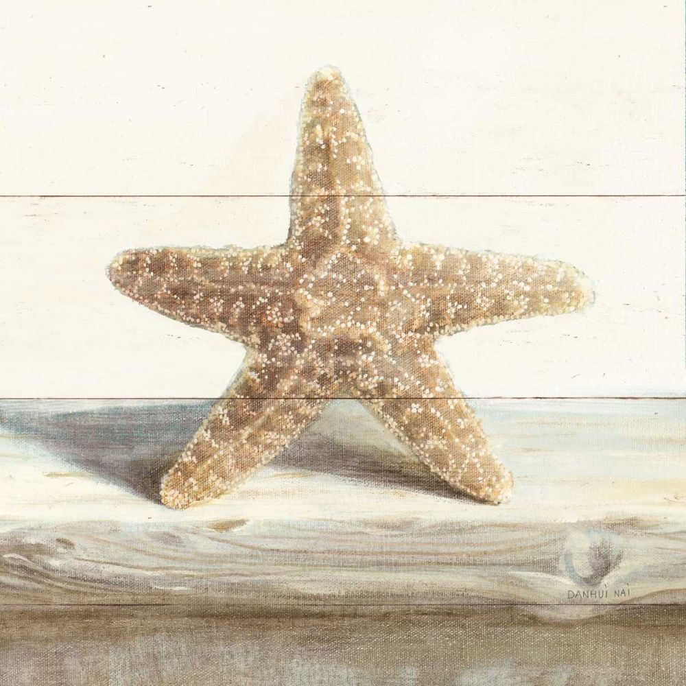 Driftwood Shell III art print by Danhui Nai for $57.95 CAD
