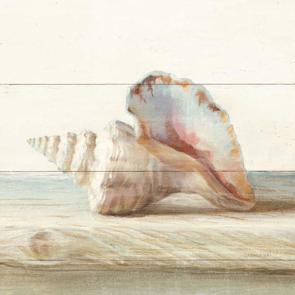 Driftwood Shell IV art print by Danhui Nai for $57.95 CAD
