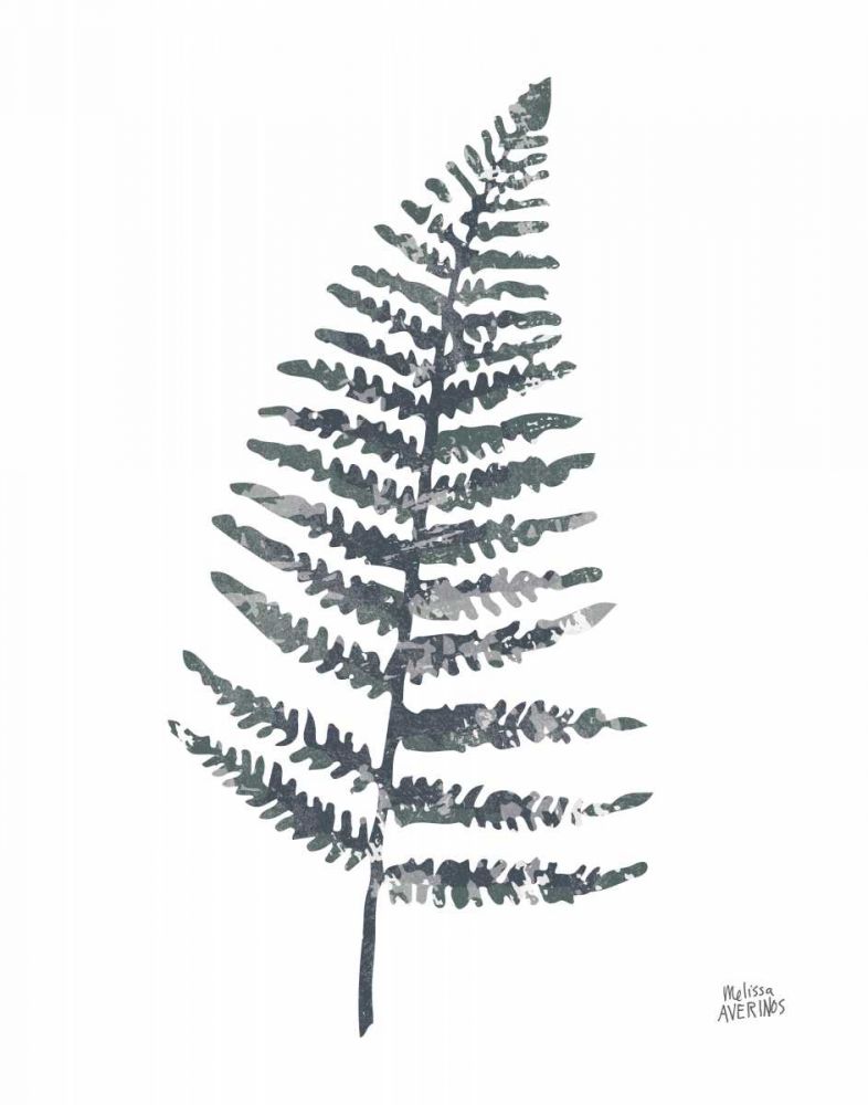 Fern I art print by Melissa Averinos for $57.95 CAD