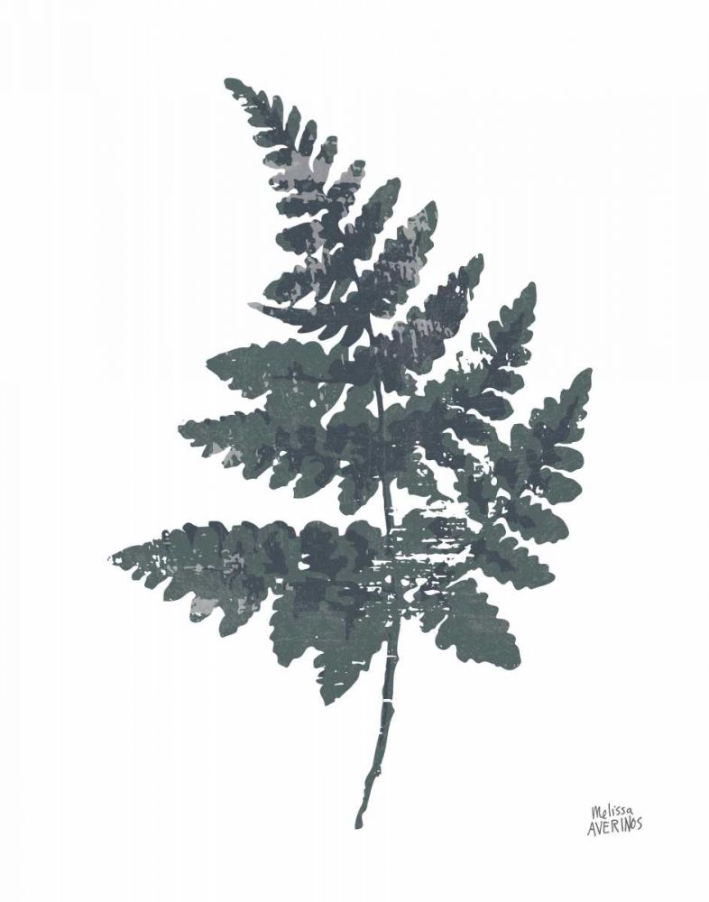 Fern II art print by Melissa Averinos for $57.95 CAD