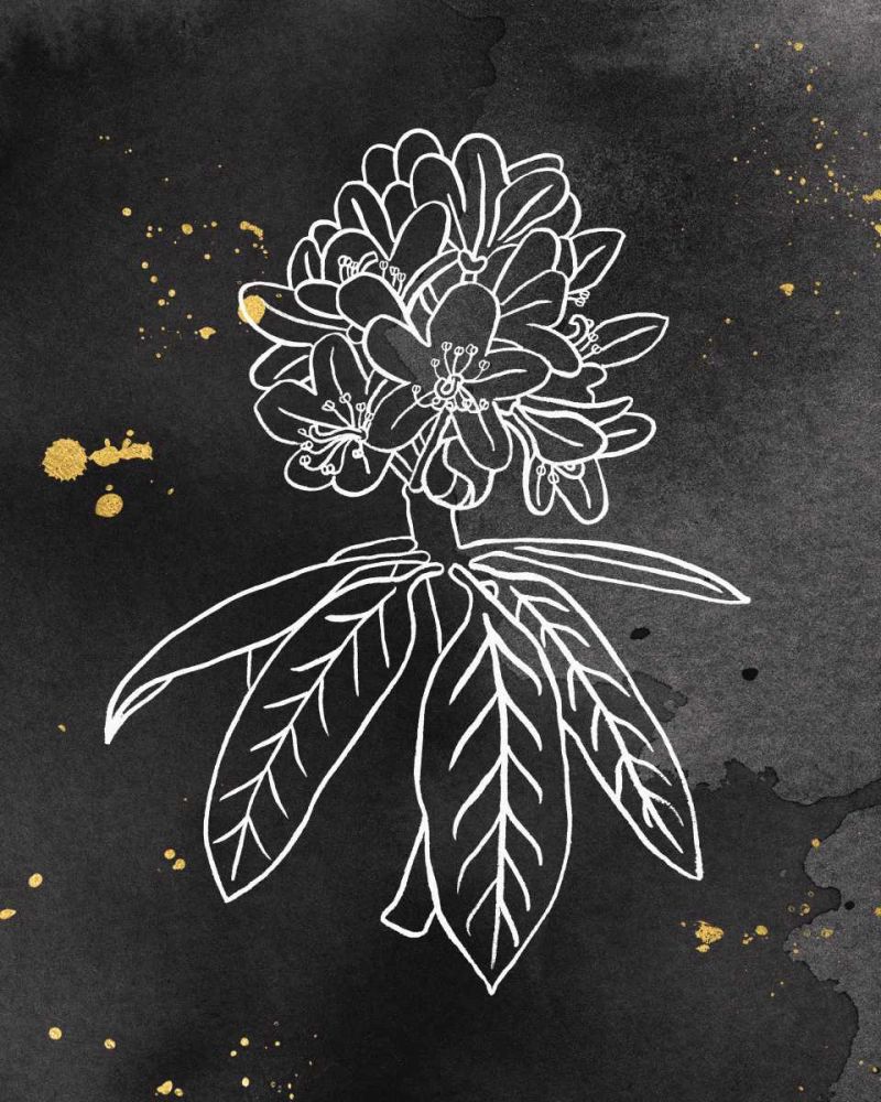 Indigo Blooms II Black art print by Wild Apple Portfolio for $57.95 CAD
