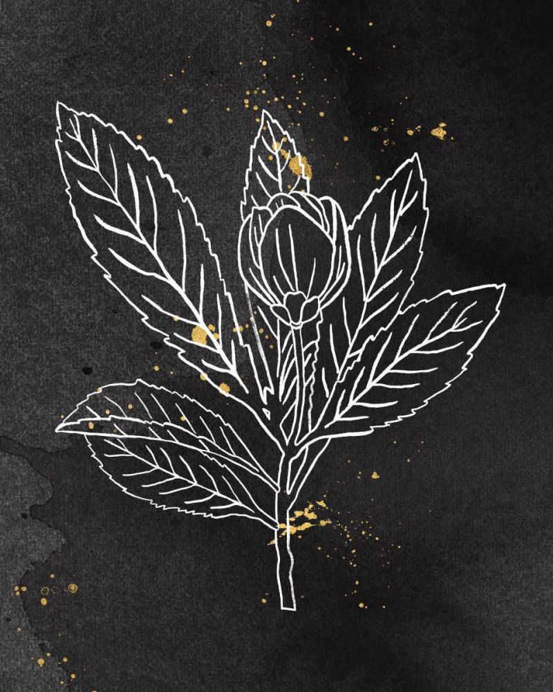 Indigo Blooms IV Black art print by Wild Apple Portfolio for $57.95 CAD