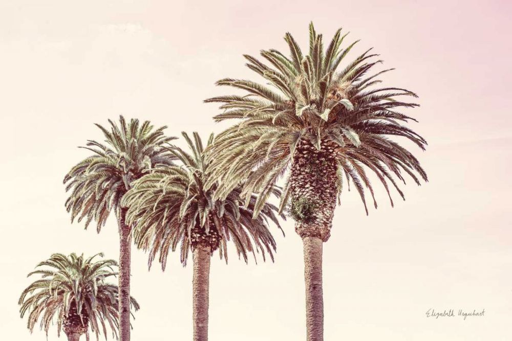 Pastel Palms art print by Elizabeth Urquhart for $57.95 CAD