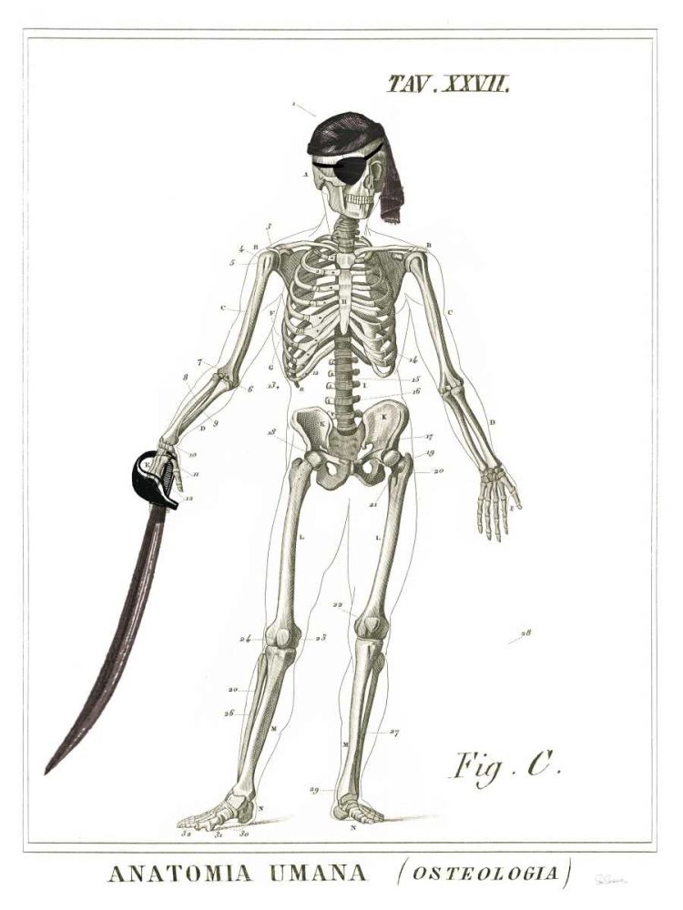 Dandy Bones Pirate art print by Sue Schlabach for $57.95 CAD