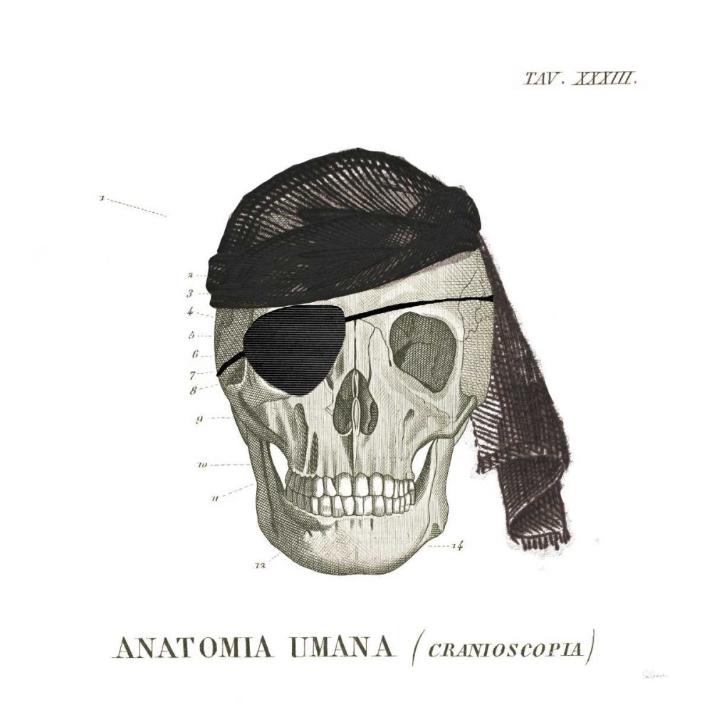 Dandy Bones VI Pirate art print by Sue Schlabach for $57.95 CAD
