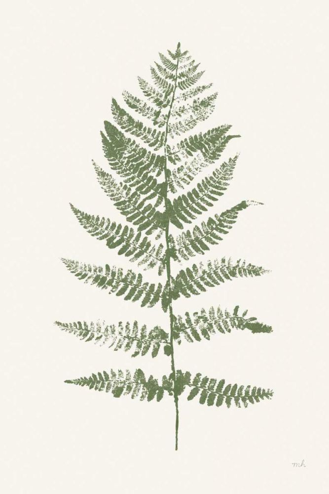 Fern Print II White Crop art print by Moira Hershey for $57.95 CAD