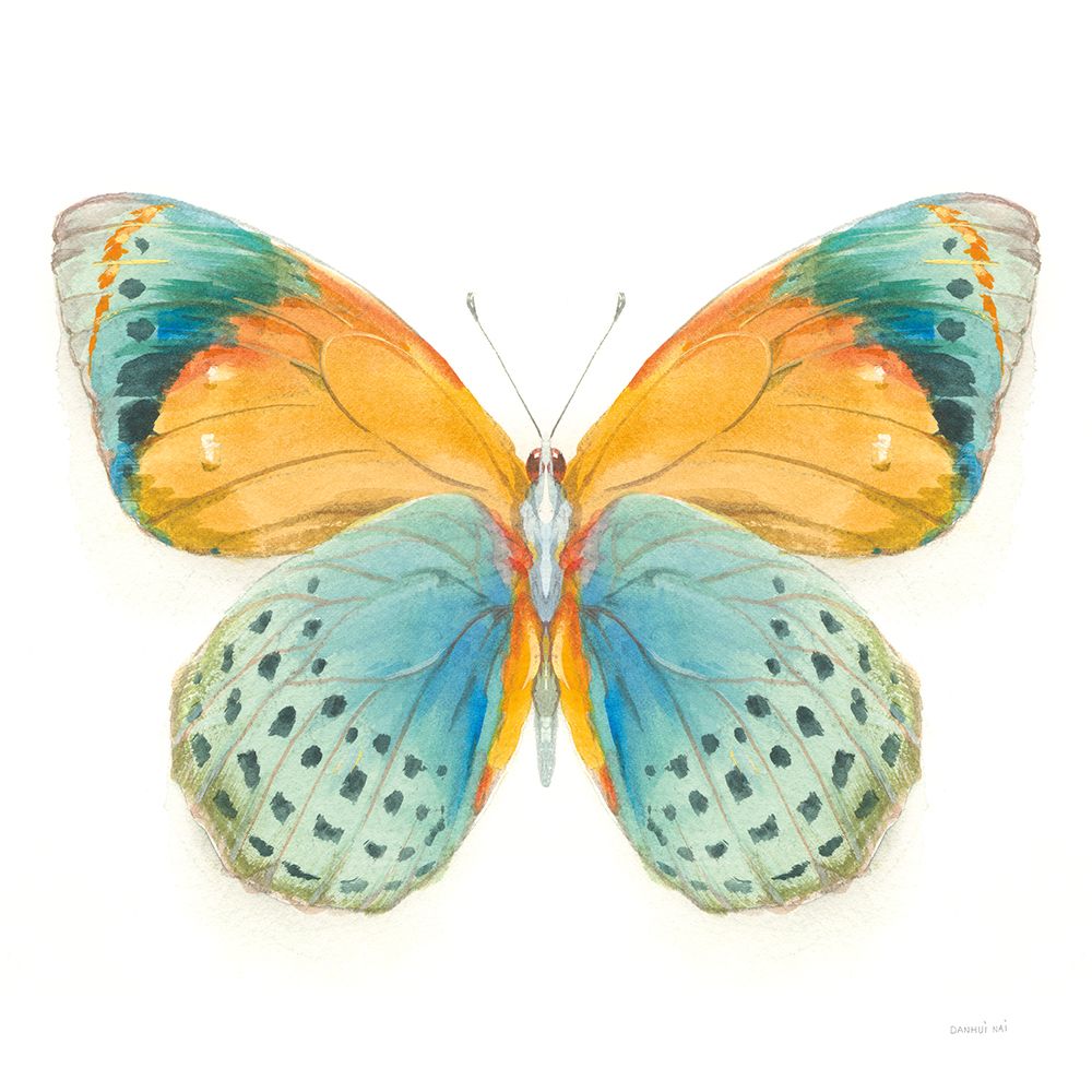 Fragile Wings Butterfly I art print by Danhui Nai for $57.95 CAD