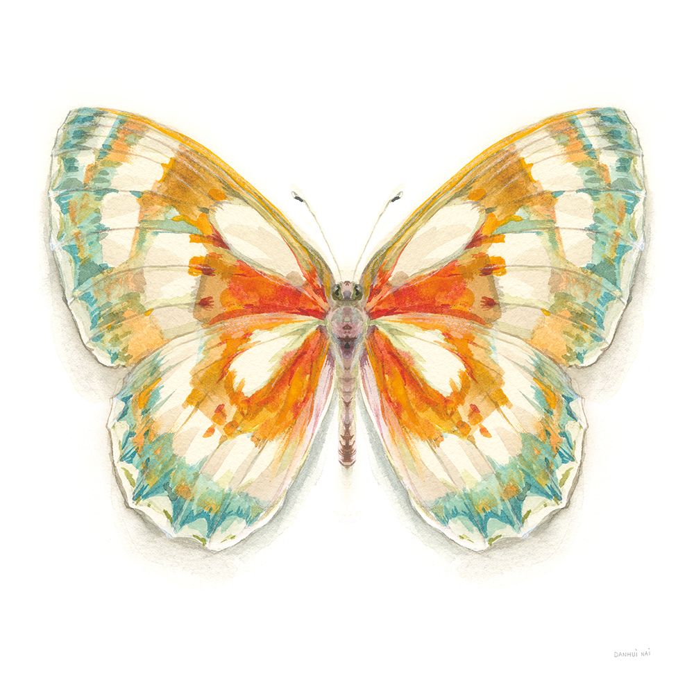 Fragile Wings Butterfly II art print by Danhui Nai for $57.95 CAD