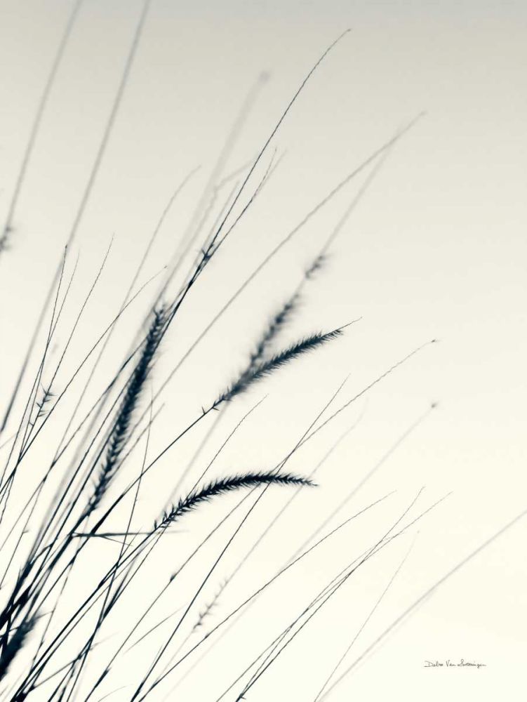 Field Grasses I art print by Debra Van Swearingen for $57.95 CAD