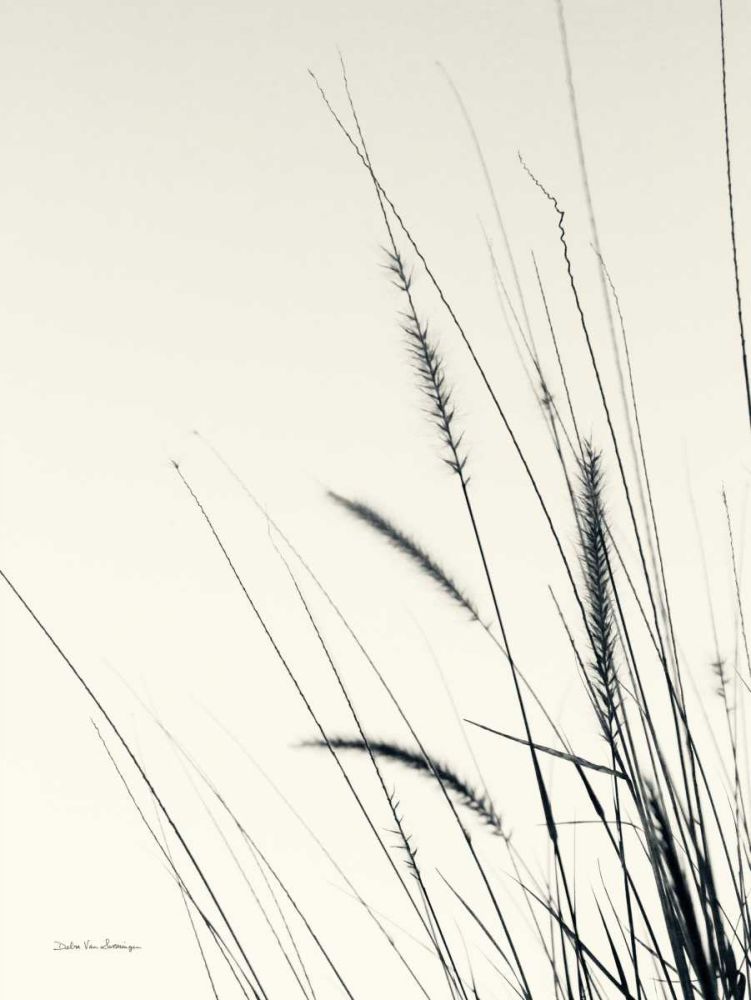 Field Grasses II art print by Debra Van Swearingen for $57.95 CAD