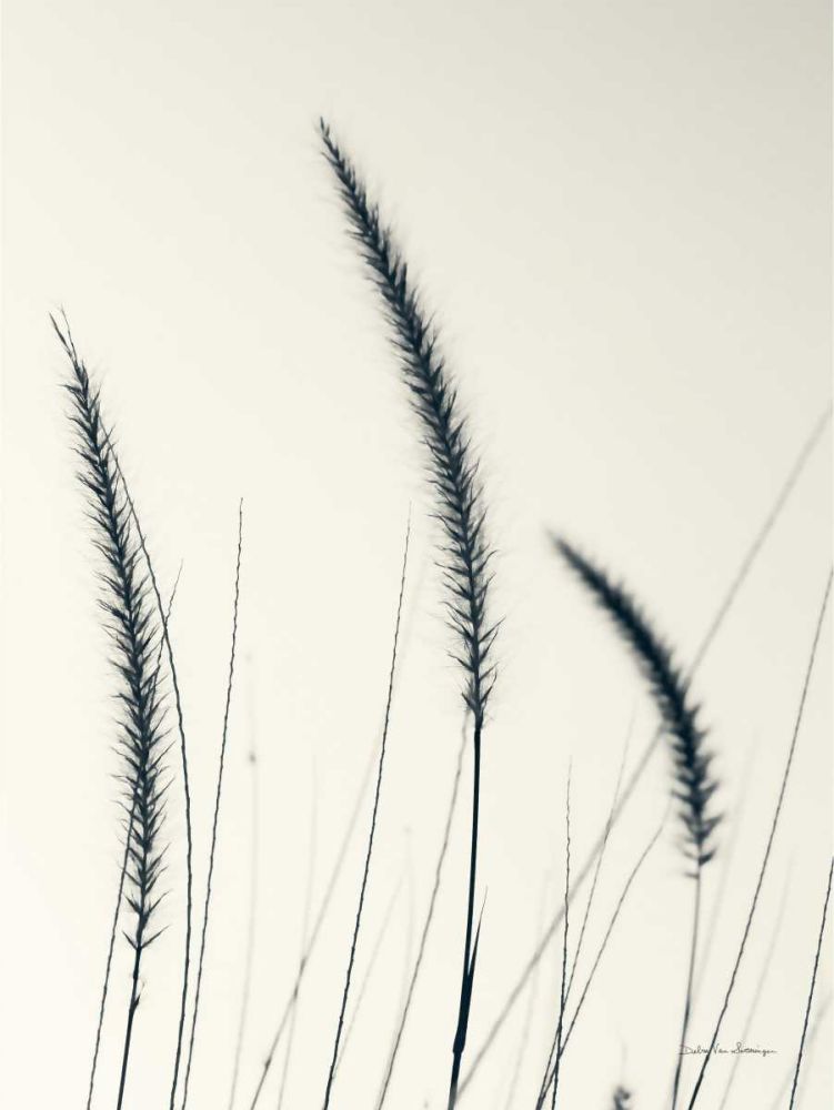 Field Grasses IV art print by Debra Van Swearingen for $57.95 CAD