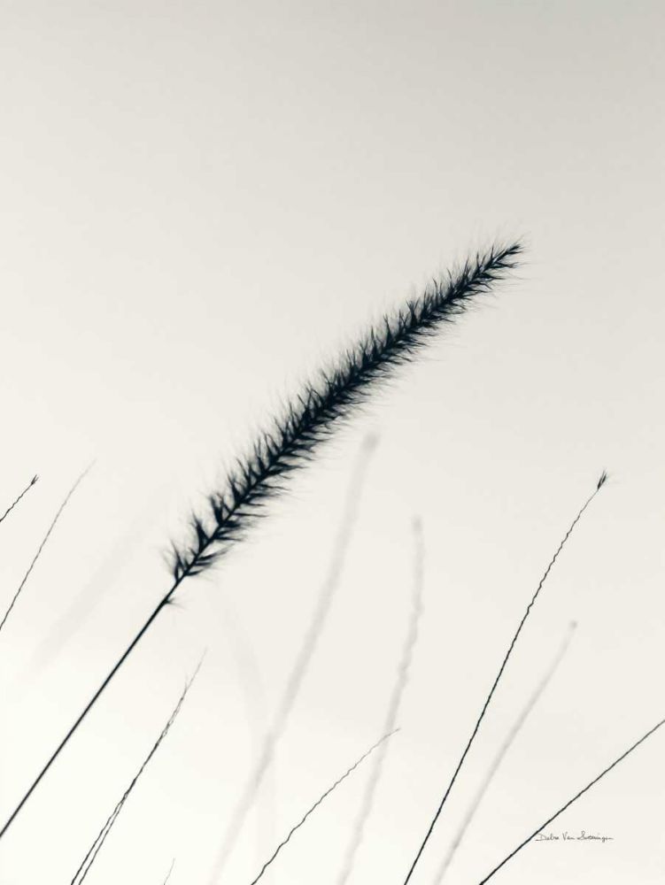 Field Grasses V art print by Debra Van Swearingen for $57.95 CAD