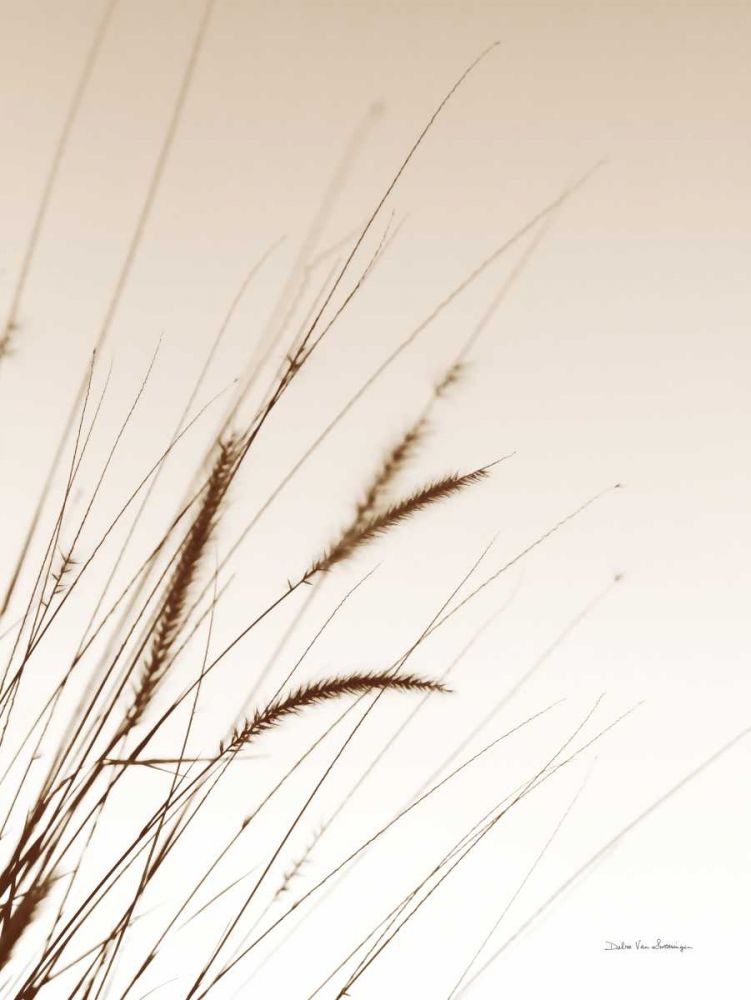 Field Grasses I Sepia art print by Debra Van Swearingen for $57.95 CAD