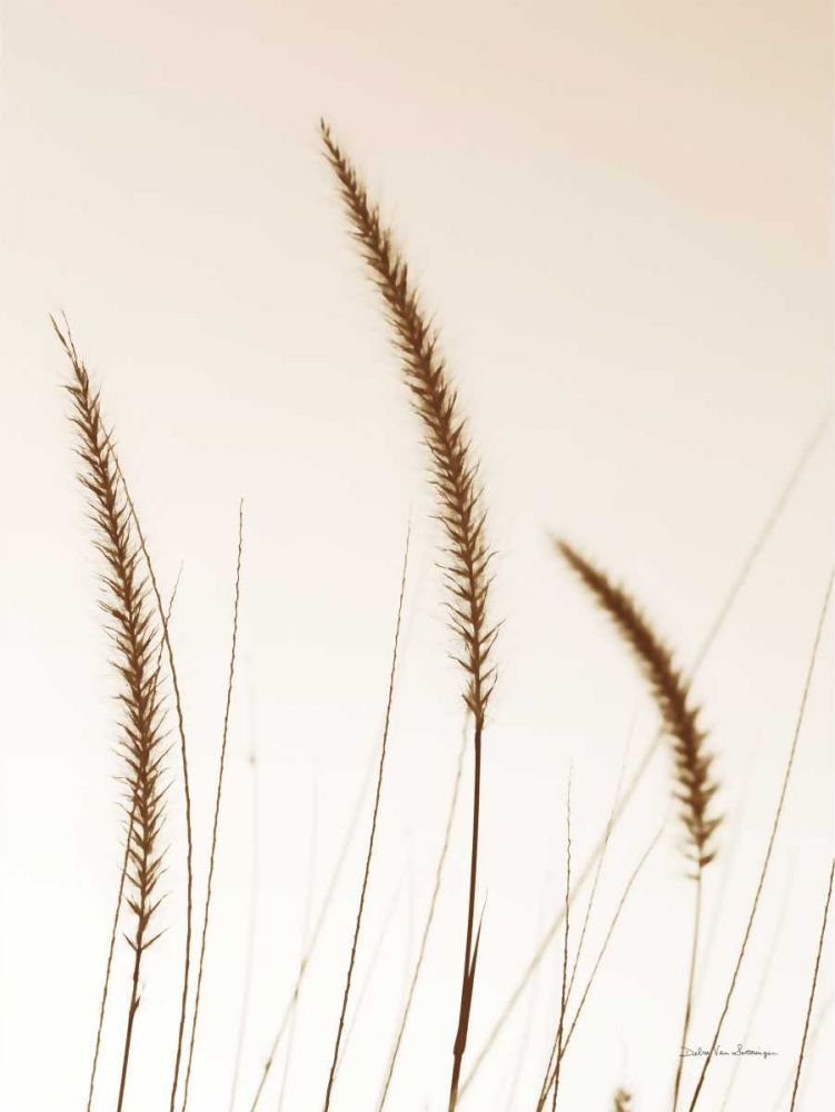 Field Grasses IV Sepia art print by Debra Van Swearingen for $57.95 CAD