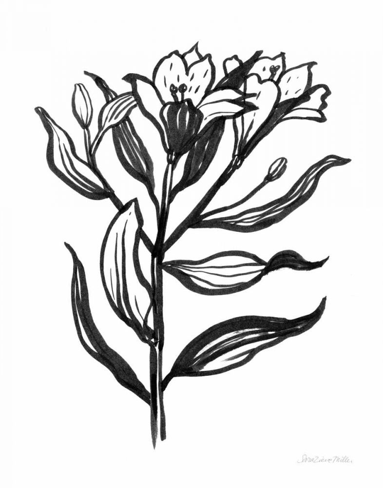 Ink Flower I art print by Sara Zieve Miller for $57.95 CAD