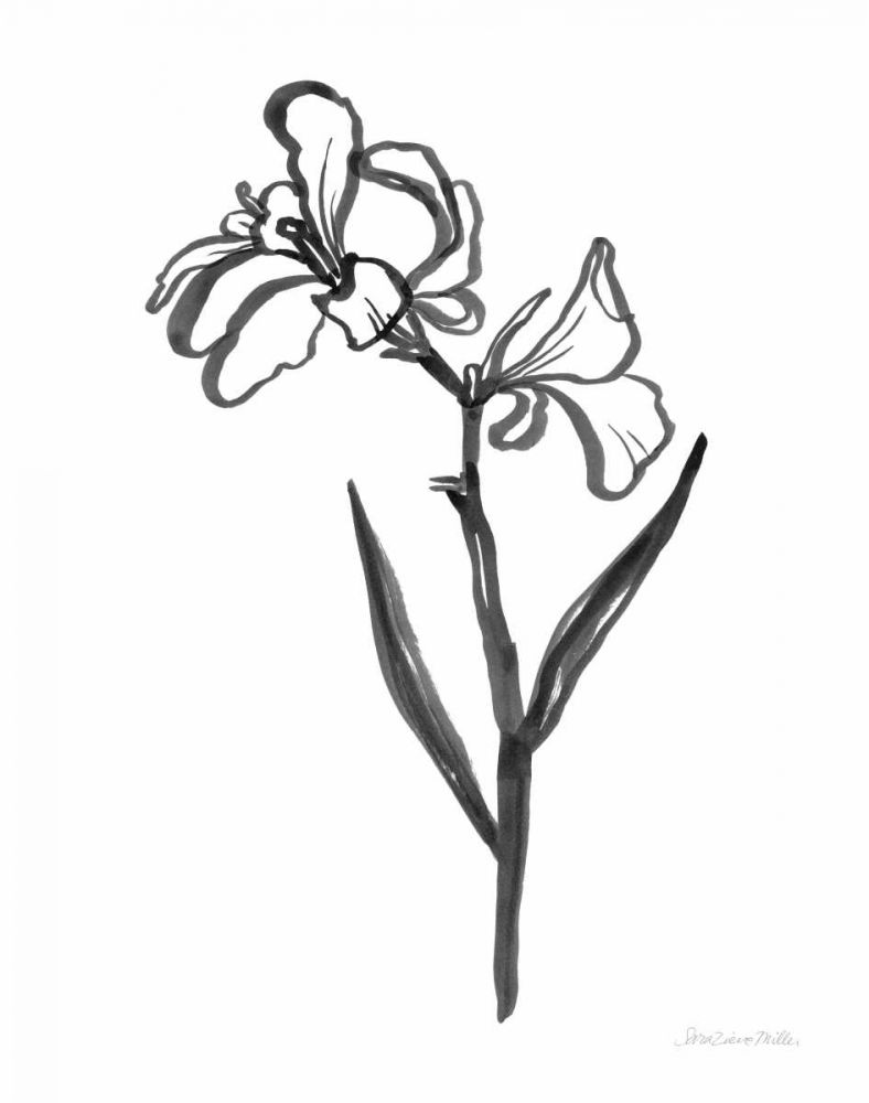 Ink Flower II art print by Sara Zieve Miller for $57.95 CAD