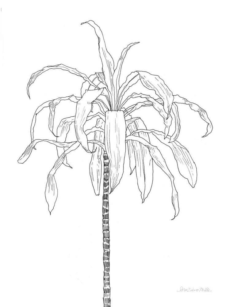 Sketched Tree I art print by Sara Zieve Miller for $57.95 CAD