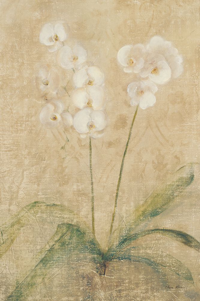 Orchid art print by Cheri Blum for $57.95 CAD