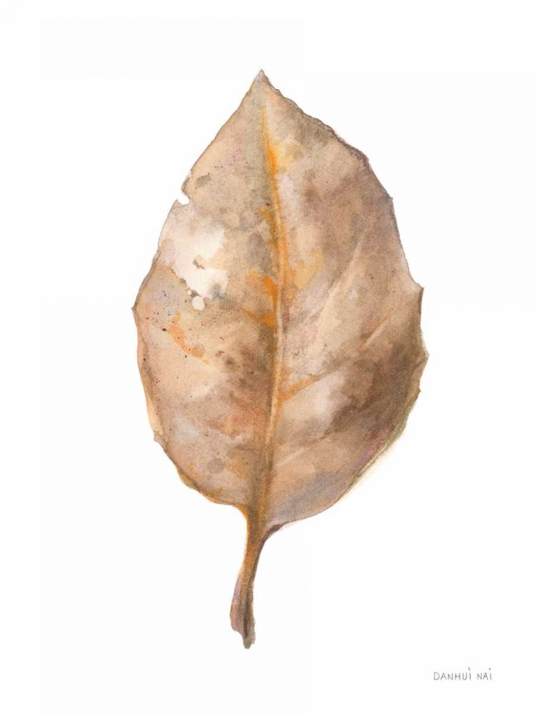 Fallen Leaf II art print by Danhui Nai for $57.95 CAD