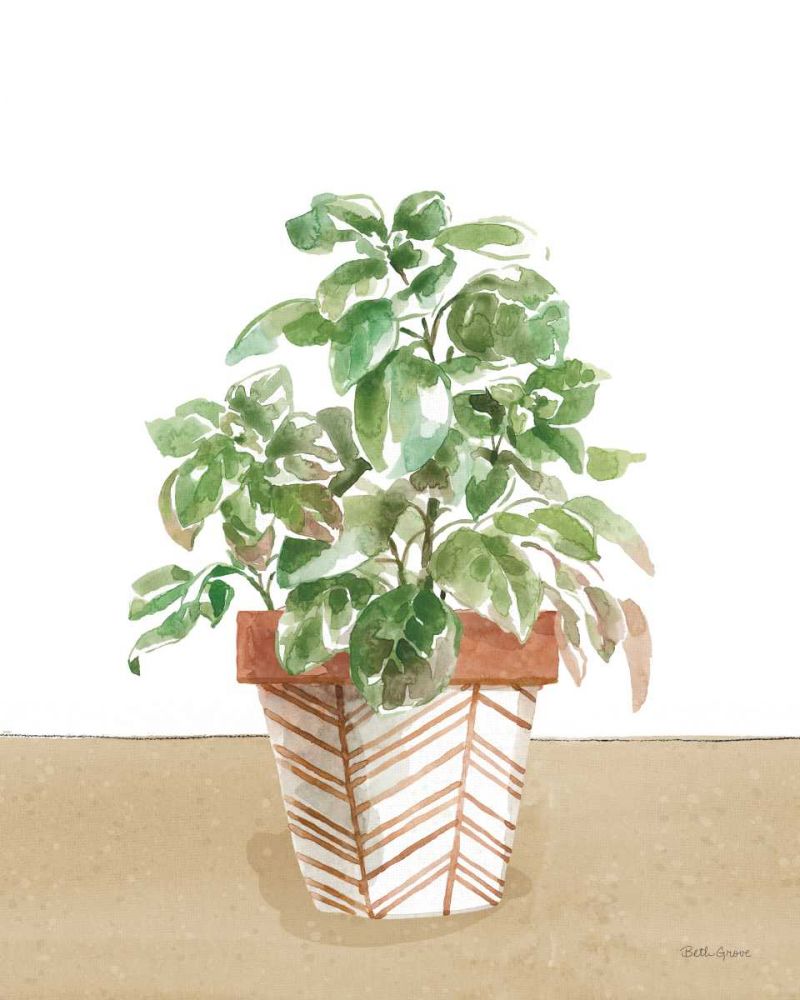 Herb Garden II White art print by Beth Grove for $57.95 CAD