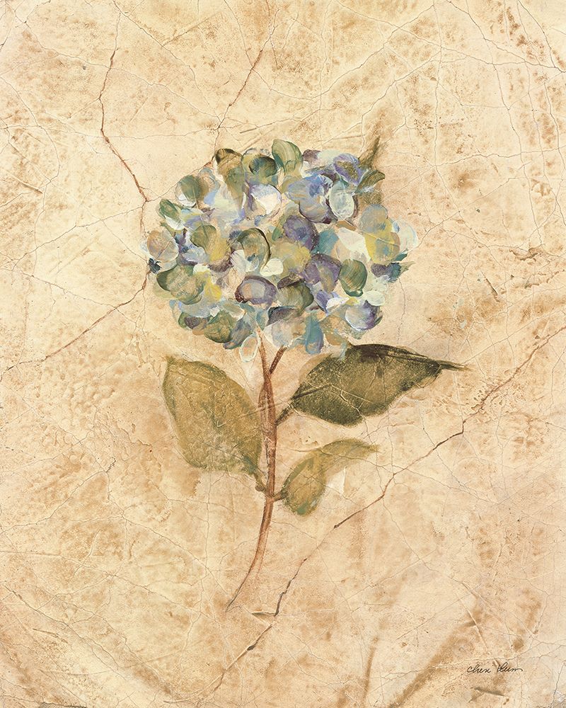 Hydrangea on Cracked Linen art print by Cheri Blum for $57.95 CAD