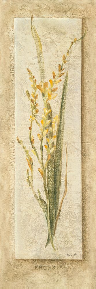 Freesia Panel art print by Cheri Blum for $57.95 CAD