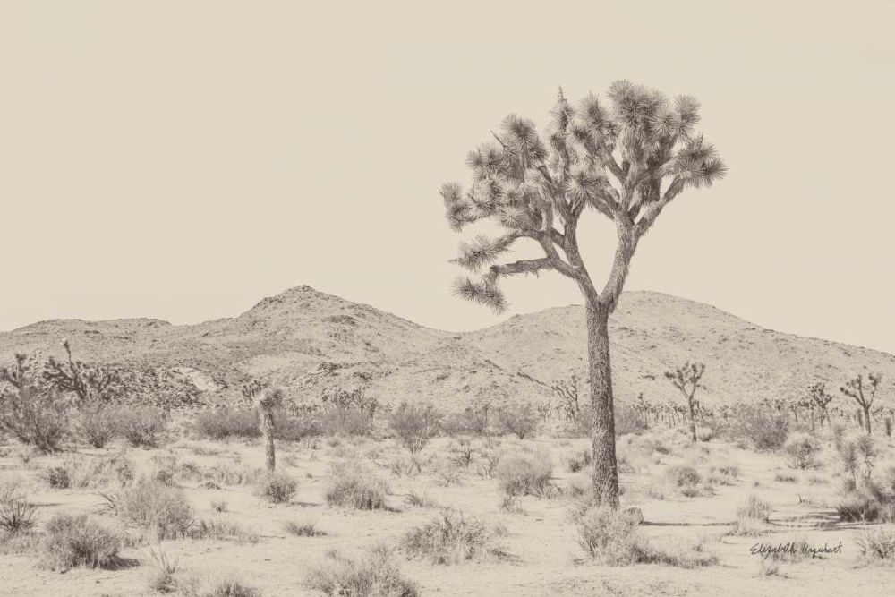 Joshua Tree I Neutral art print by Elizabeth Urquhart for $57.95 CAD