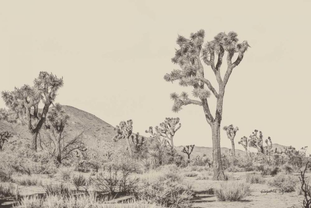 Joshua Tree II Neutral art print by Elizabeth Urquhart for $57.95 CAD