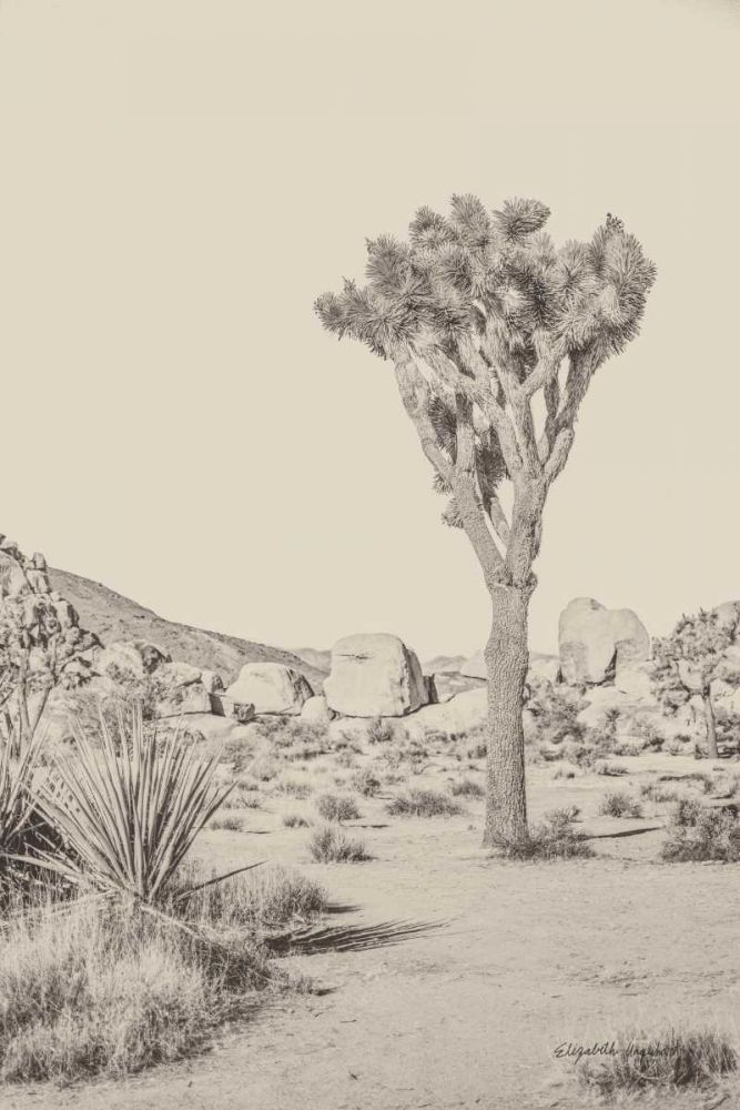 Joshua Tree III Neutral art print by Elizabeth Urquhart for $57.95 CAD