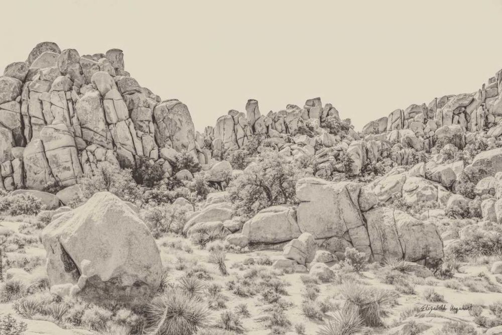 Joshua Tree V Neutral art print by Elizabeth Urquhart for $57.95 CAD