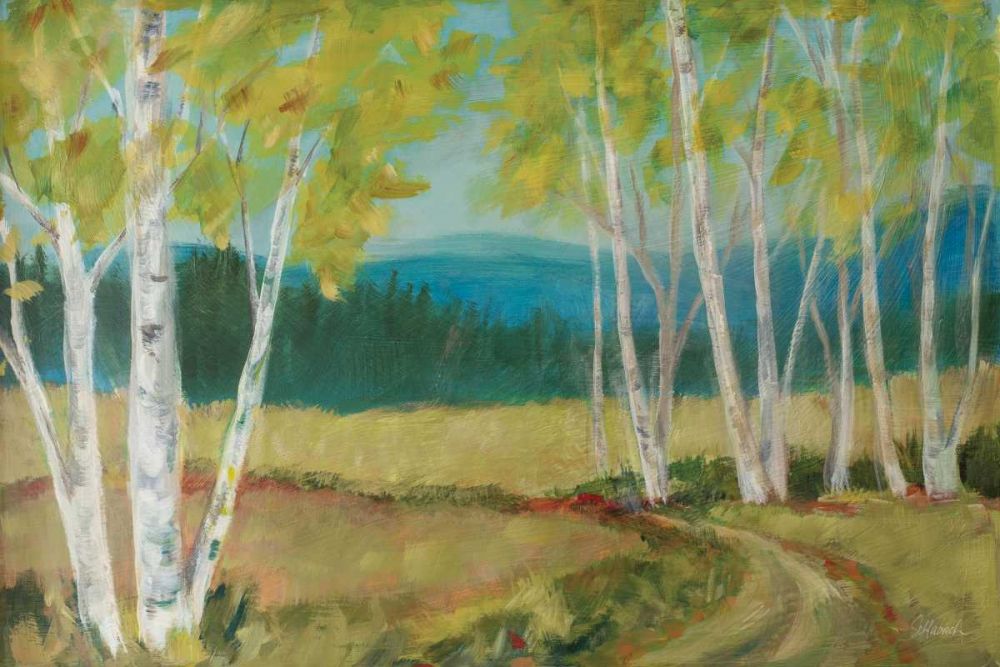 Birch Road art print by Sue Schlabach for $57.95 CAD