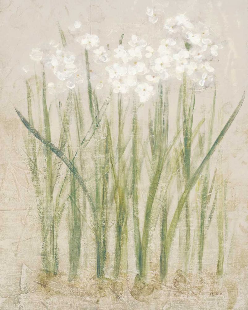 Narcissus Light art print by Cheri Blum for $57.95 CAD