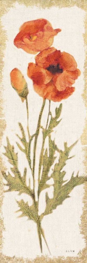 Poppy Panel Light art print by Cheri Blum for $57.95 CAD