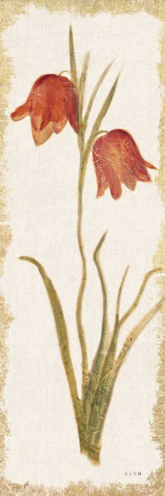 Red Tulip Panel Light art print by Cheri Blum for $57.95 CAD
