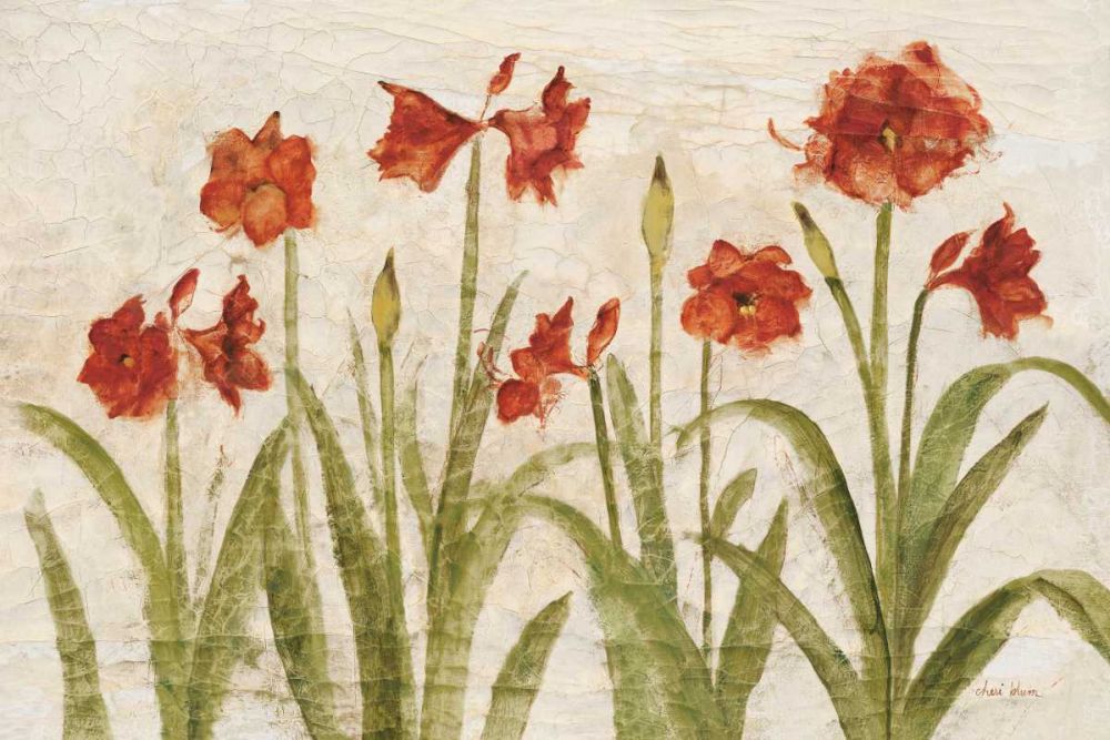 Row of Red Amaryllis Light art print by Cheri Blum for $57.95 CAD