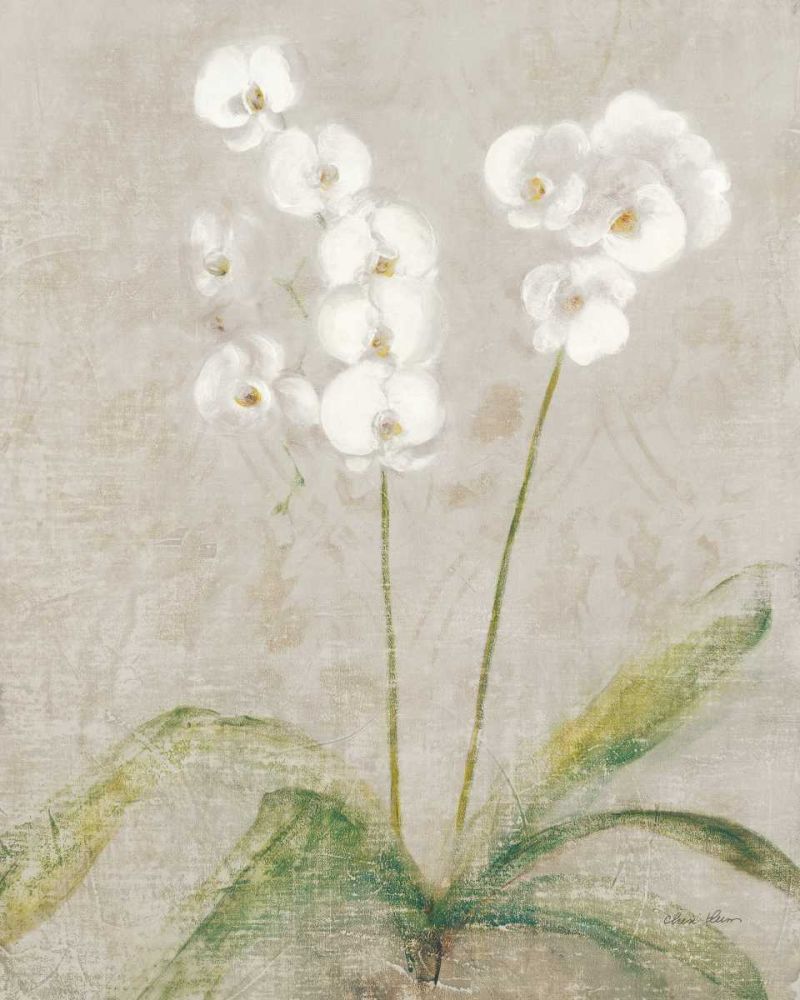 Orchid Light art print by Cheri Blum for $57.95 CAD