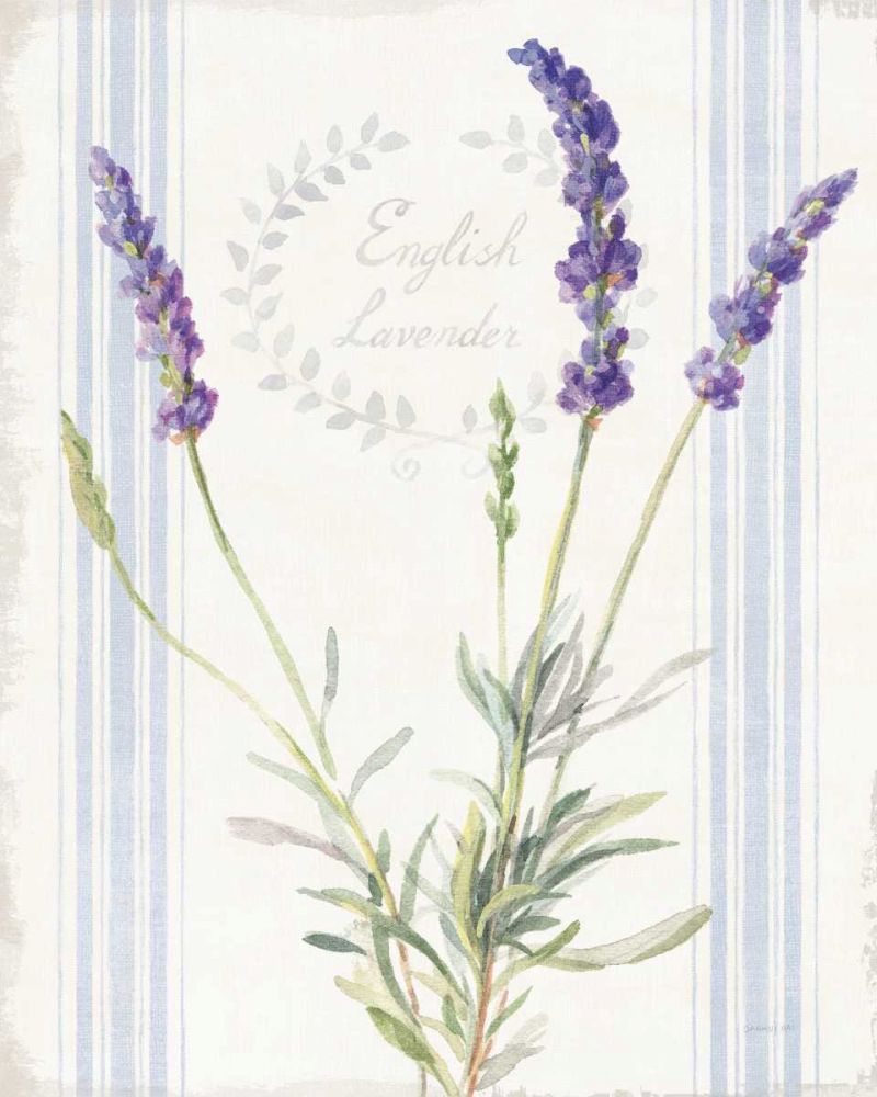 Floursack Lavender IV art print by Danhui Nai for $57.95 CAD