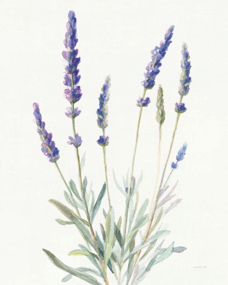 Floursack Lavender I on Linen art print by Danhui Nai for $57.95 CAD