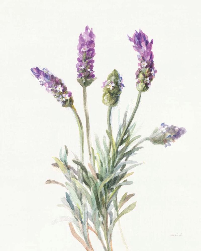 Floursack Lavender II on Linen art print by Danhui Nai for $57.95 CAD