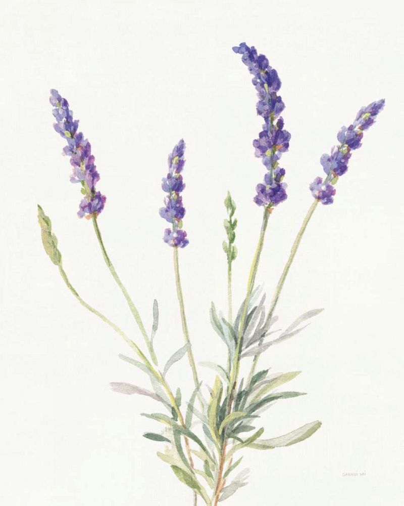Floursack Lavender IV on Linen art print by Danhui Nai for $57.95 CAD