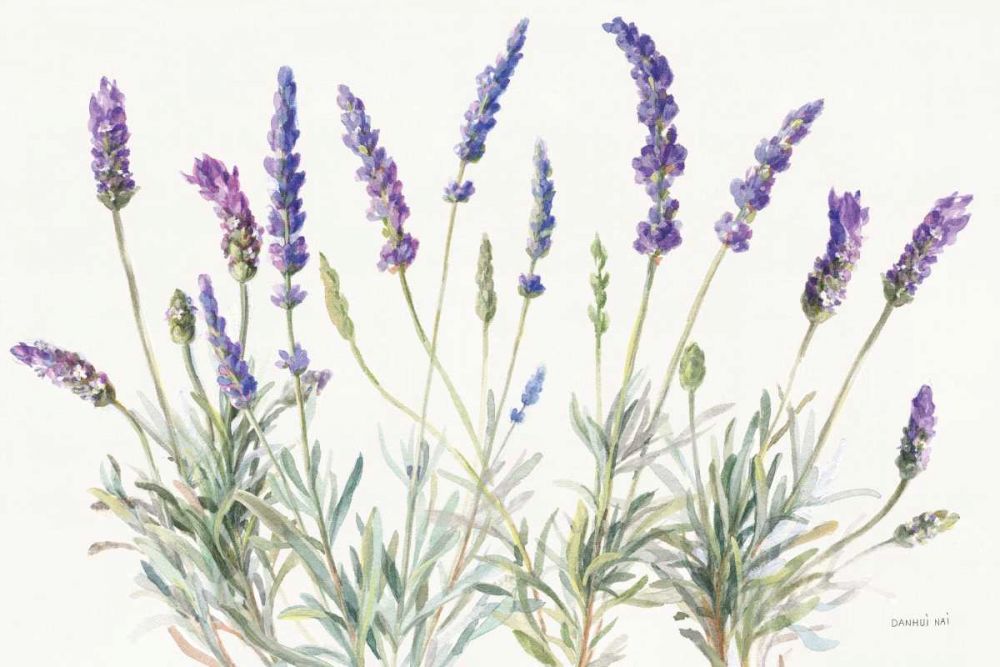 Floursack Lavender V on Linen art print by Danhui Nai for $57.95 CAD