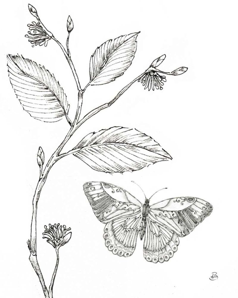 Outdoor Beauties Butterfly I art print by Daphne Brissonnet for $57.95 CAD
