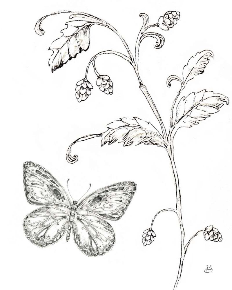 Outdoor Beauties Butterfly II art print by Daphne Brissonnet for $57.95 CAD