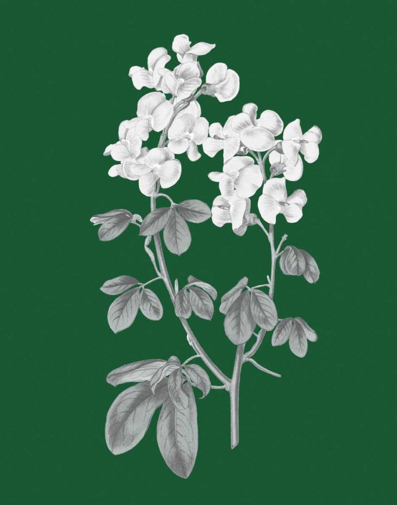 Green Botanical III art print by Wild Apple Portfolio for $57.95 CAD