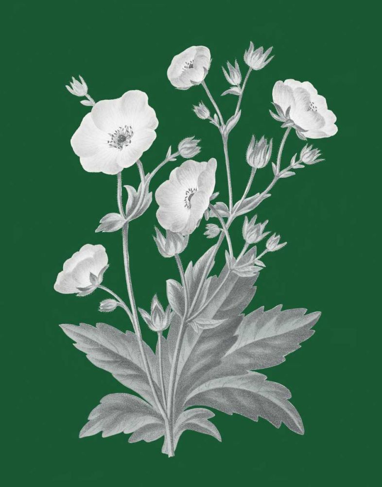 Green Botanical VI art print by Wild Apple Portfolio for $57.95 CAD
