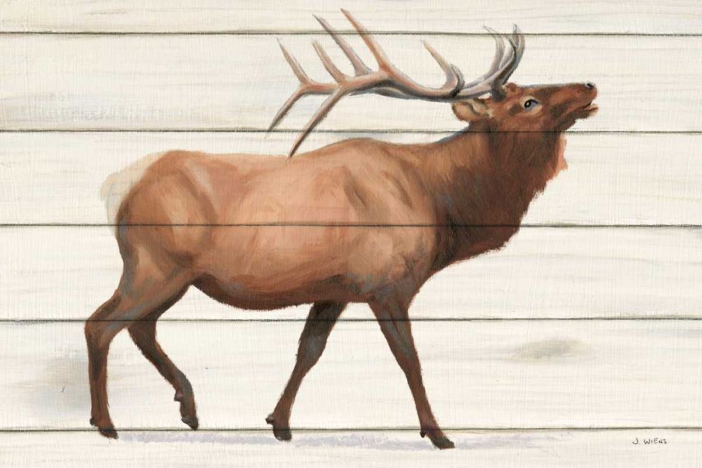 Northern Wild III on Wood art print by James Wiens for $57.95 CAD